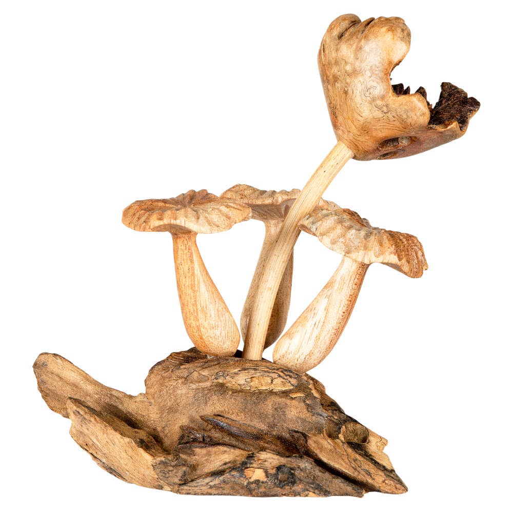3 WOODEN MUSHROOM $34.99
