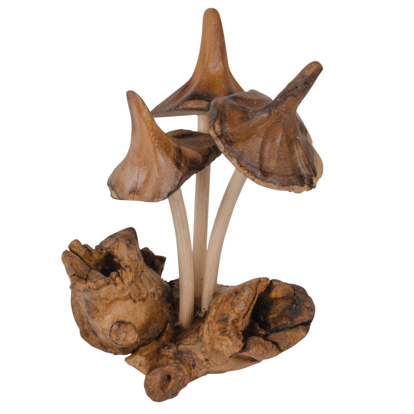TREE MUSHROOMS $37.99