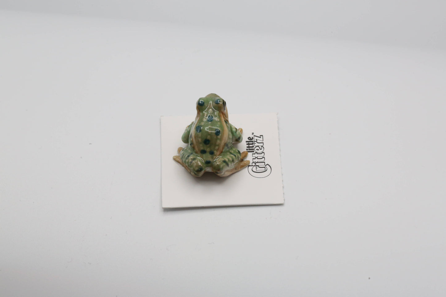 Rana Leopard Frog Porcelain Miniature