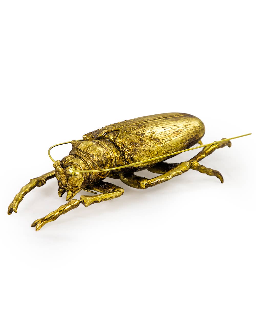 Large Gold Beetle Wall Hanging