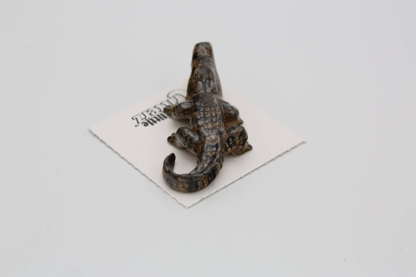 Mississippi American Alligator Porcelain Miniature