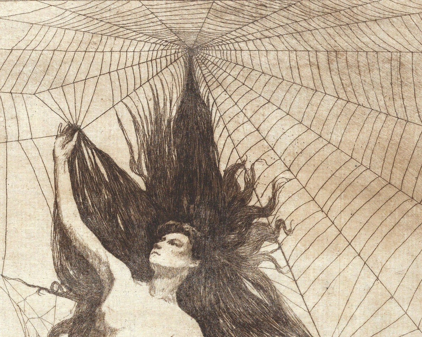 Vintage spider woman art | Arachne | Greek mythology sketch | Vintage gothic nude | Occult, Dark wall art | Victorian spider woman