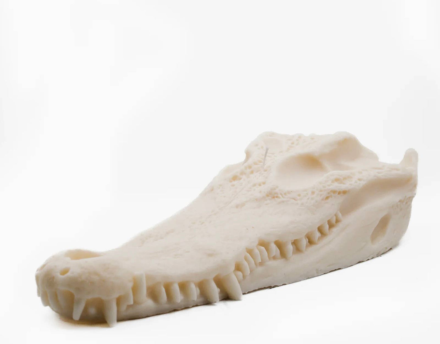 Crocodile Skull Candle | Pillar