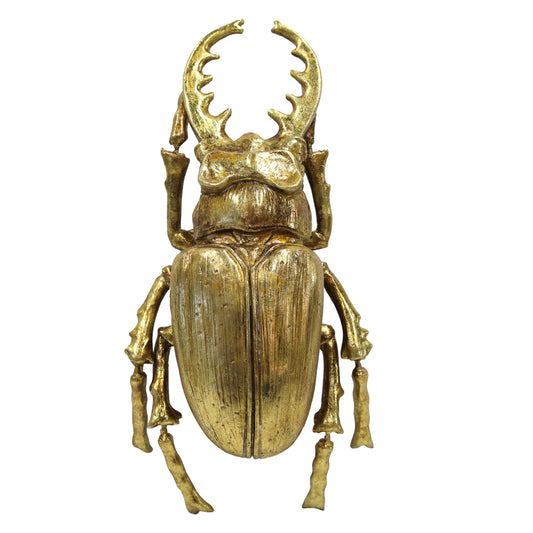 Gold Stag Beetle Wall Decor (Small Version)