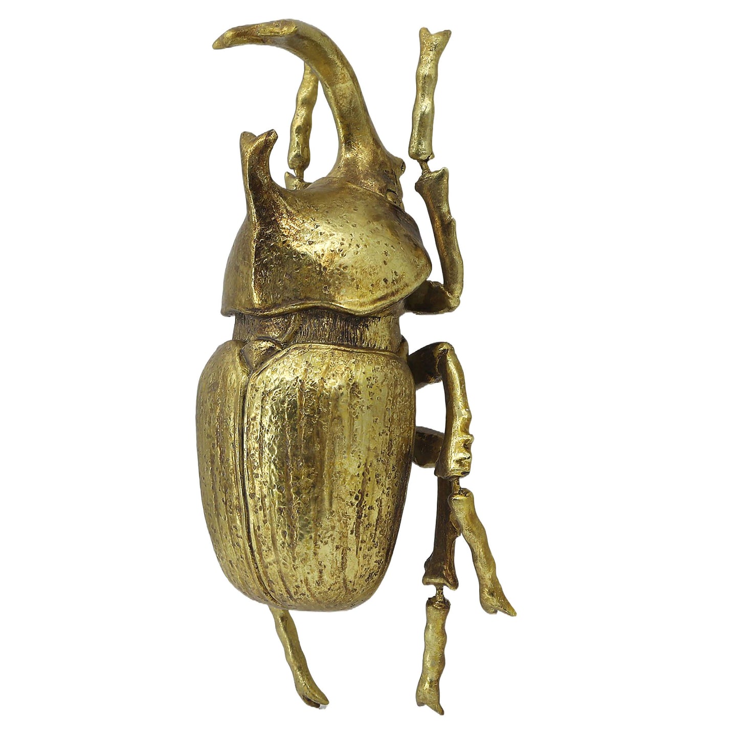 Gold Elephant Beetle Wall Décor (Small Version)