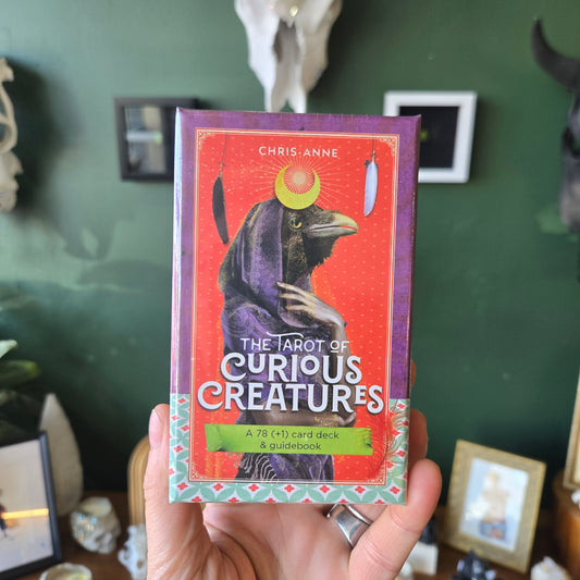The Tarot Of Curious Creatures