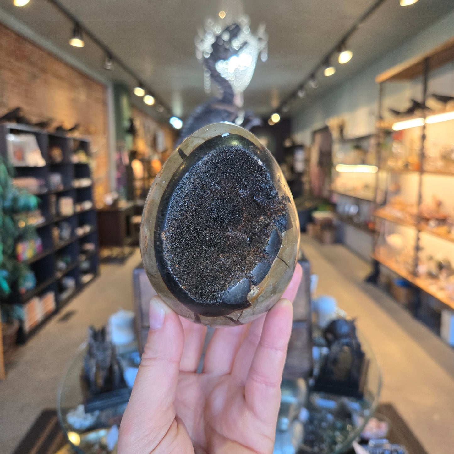 Septerye Dragon Egg - 103.00