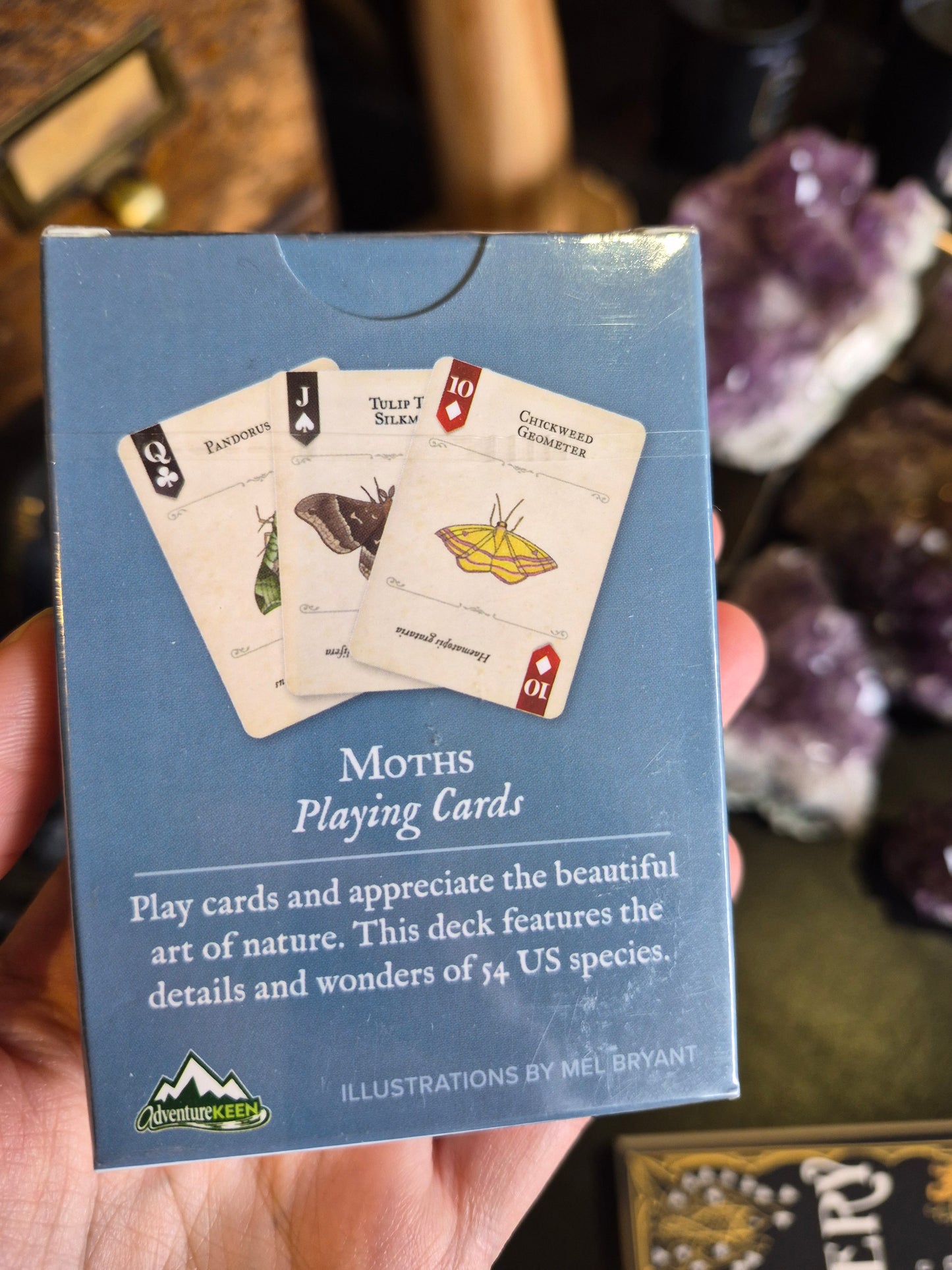 Moths Playing Cards