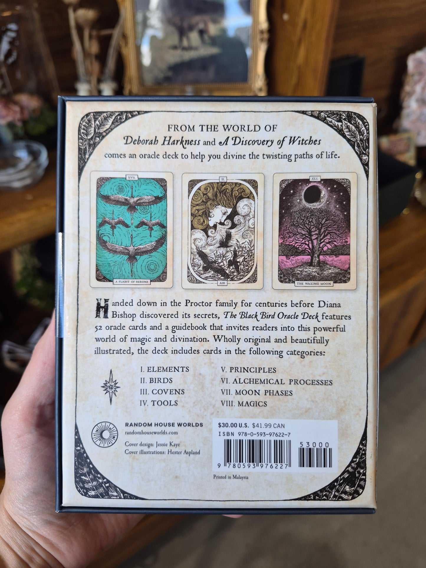The Black Bird Oracle Deck