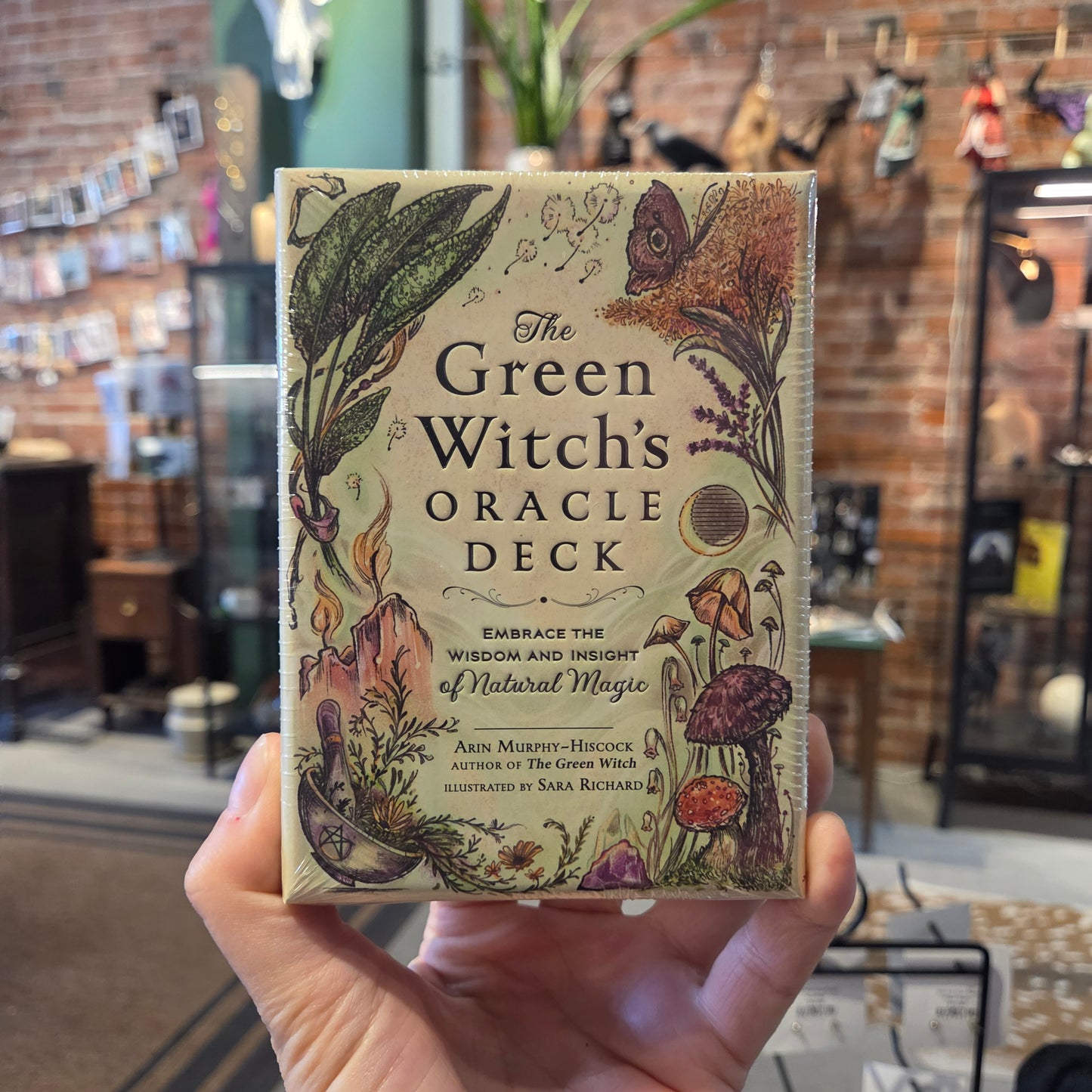 The Green Witches Oracle Deck