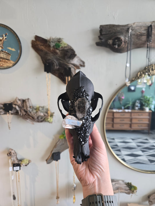 Coyote Skull With Smoky Quartz and Clear Quartz