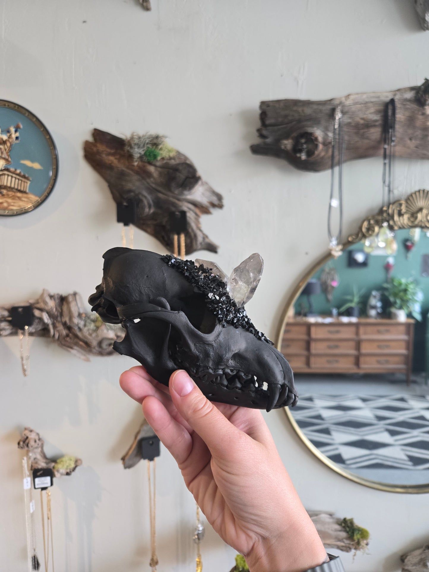 Coyote Skull With Smoky Quartz and Clear Quartz