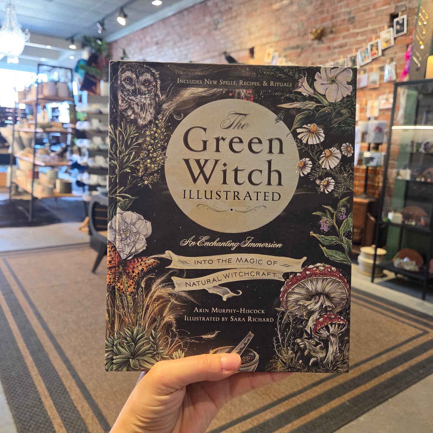 The Green Witch Illustrated