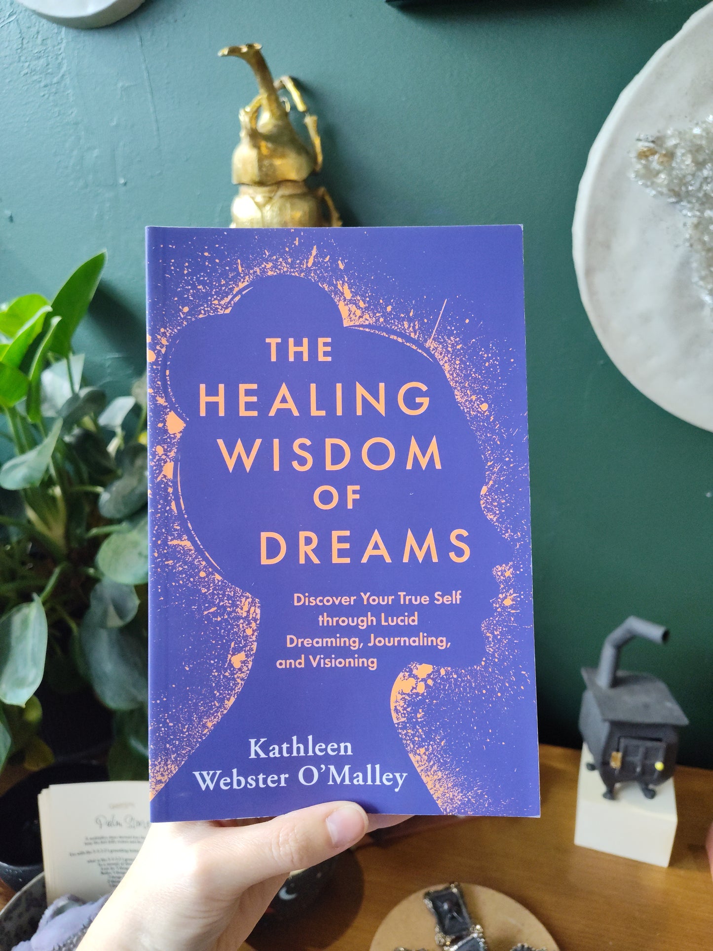 The Healing Wisdom of Dreams