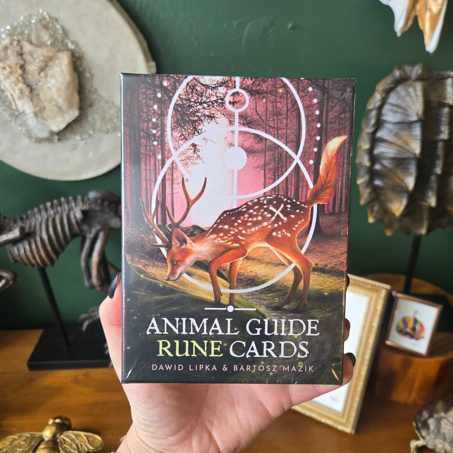 Animal Guide Rune Cards