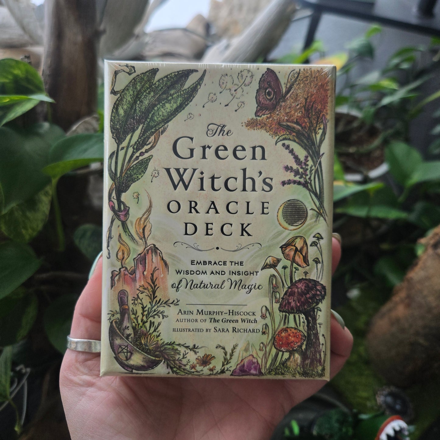 The Green Witches Oracle Deck