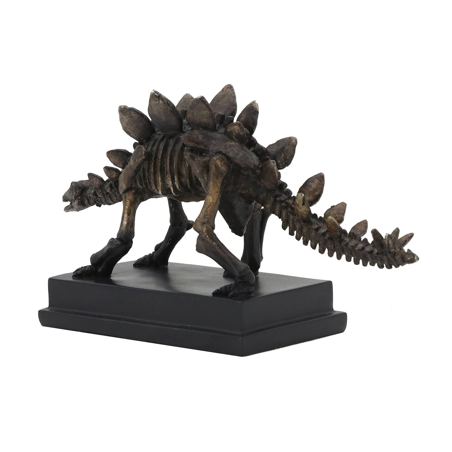 Stegosaurus Dinosaur Fossil on Base
