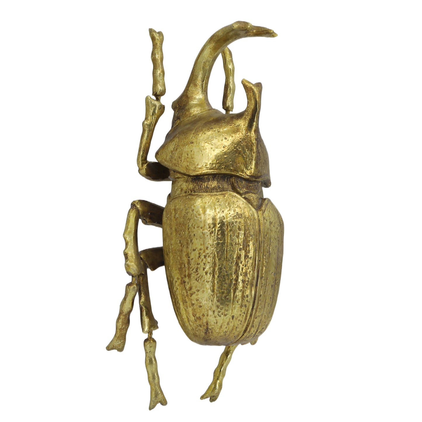 Gold Elephant Beetle Wall Décor (Small Version)