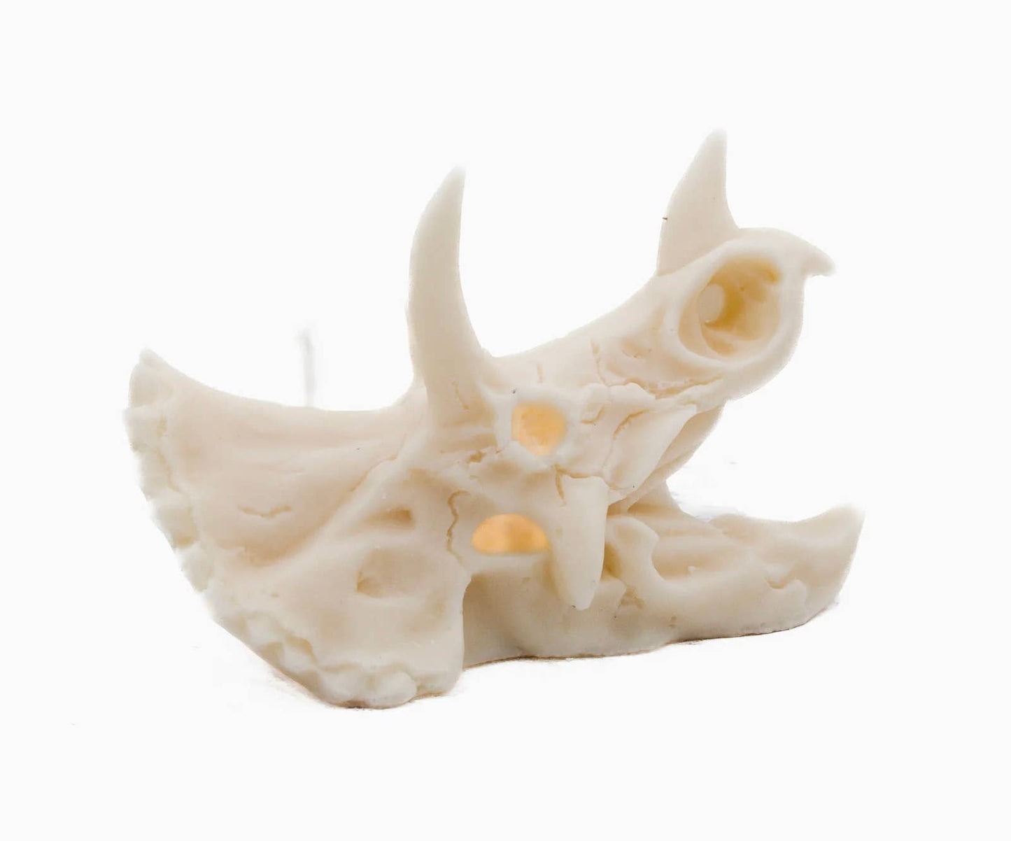 Triceratops Skull Candle | Pillar