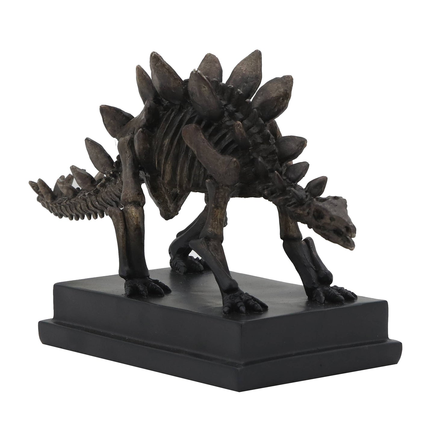 Stegosaurus Dinosaur Fossil on Base
