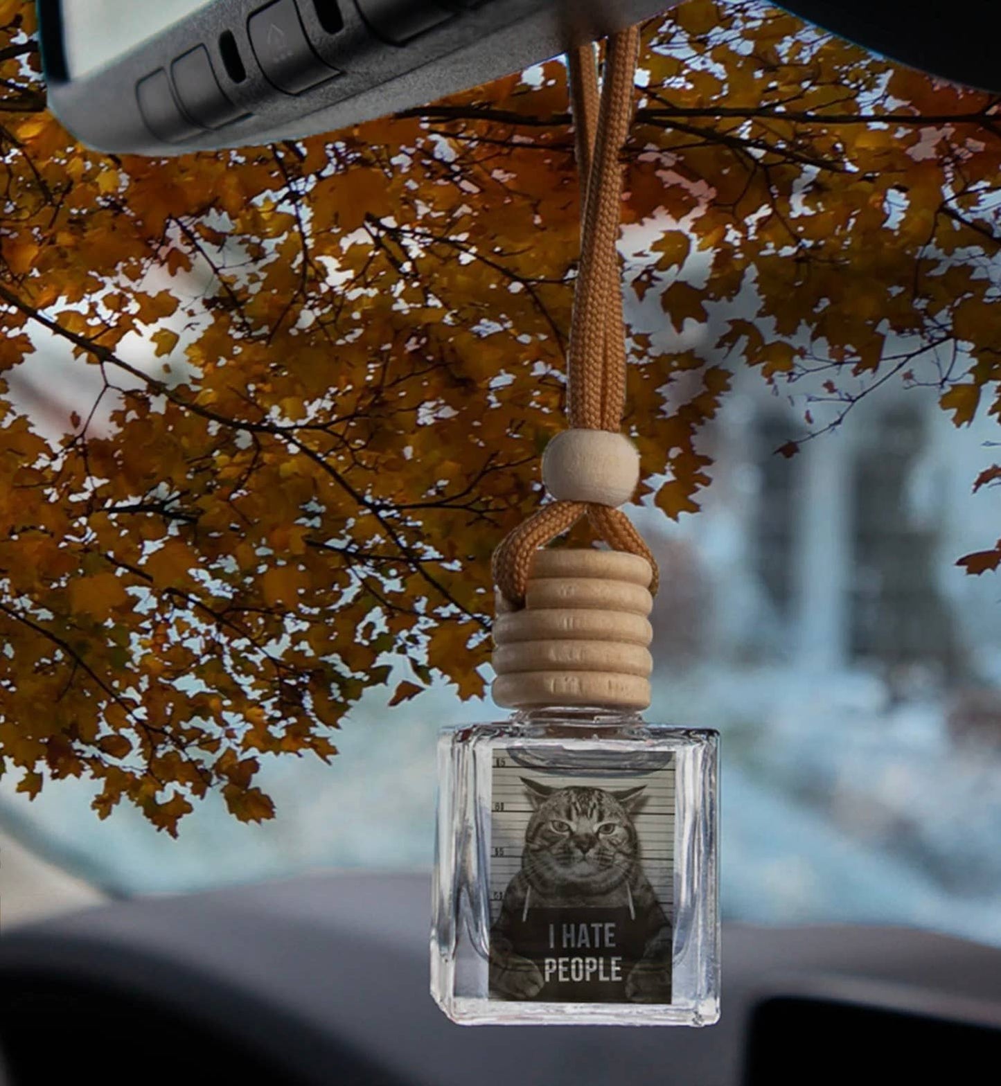 CAT MUGSHOT | CAR DIFFUSER