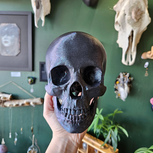 3D Printed Human Skull Large