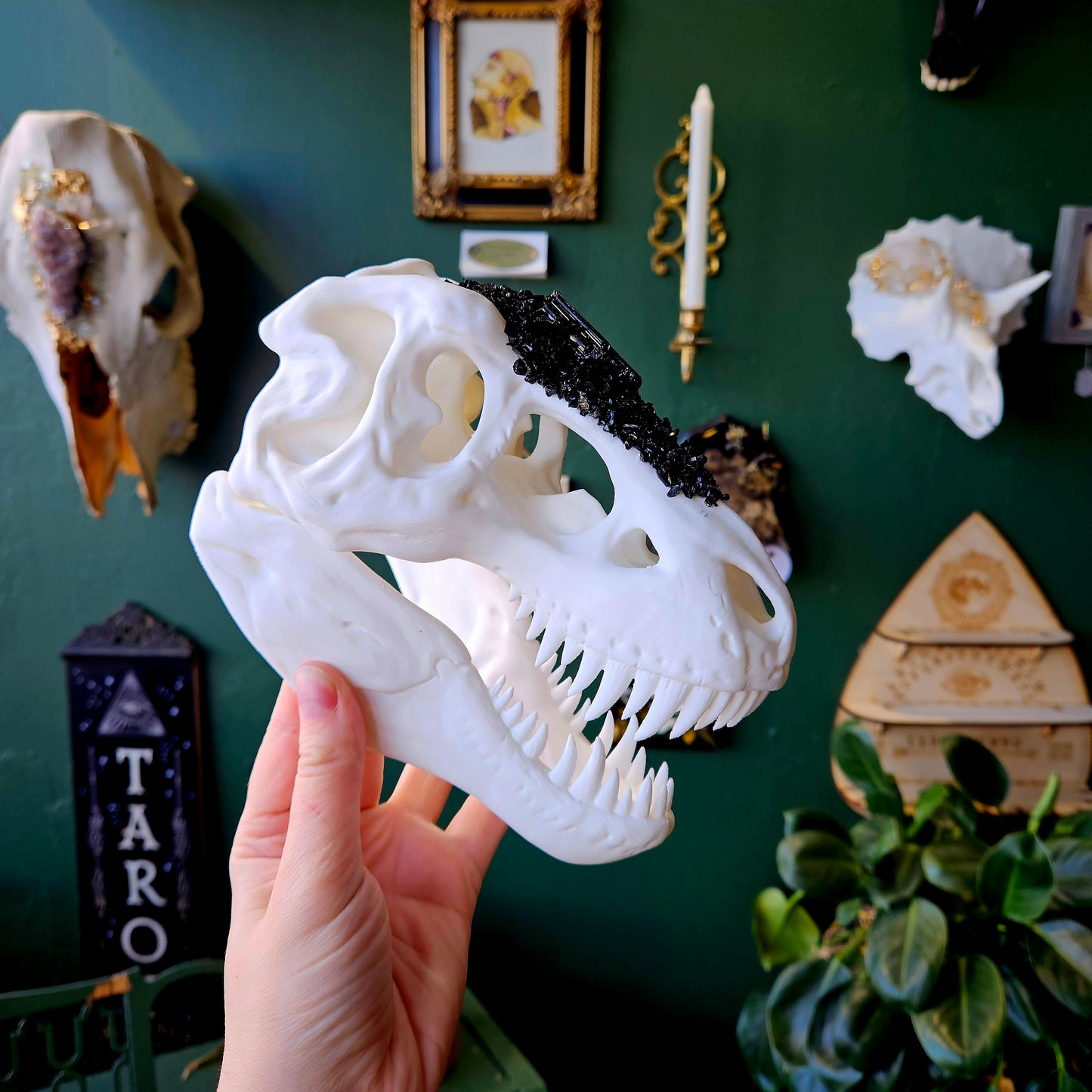 3D Printed T-Rex Skull With Black Tourmaline - Wall Hanging