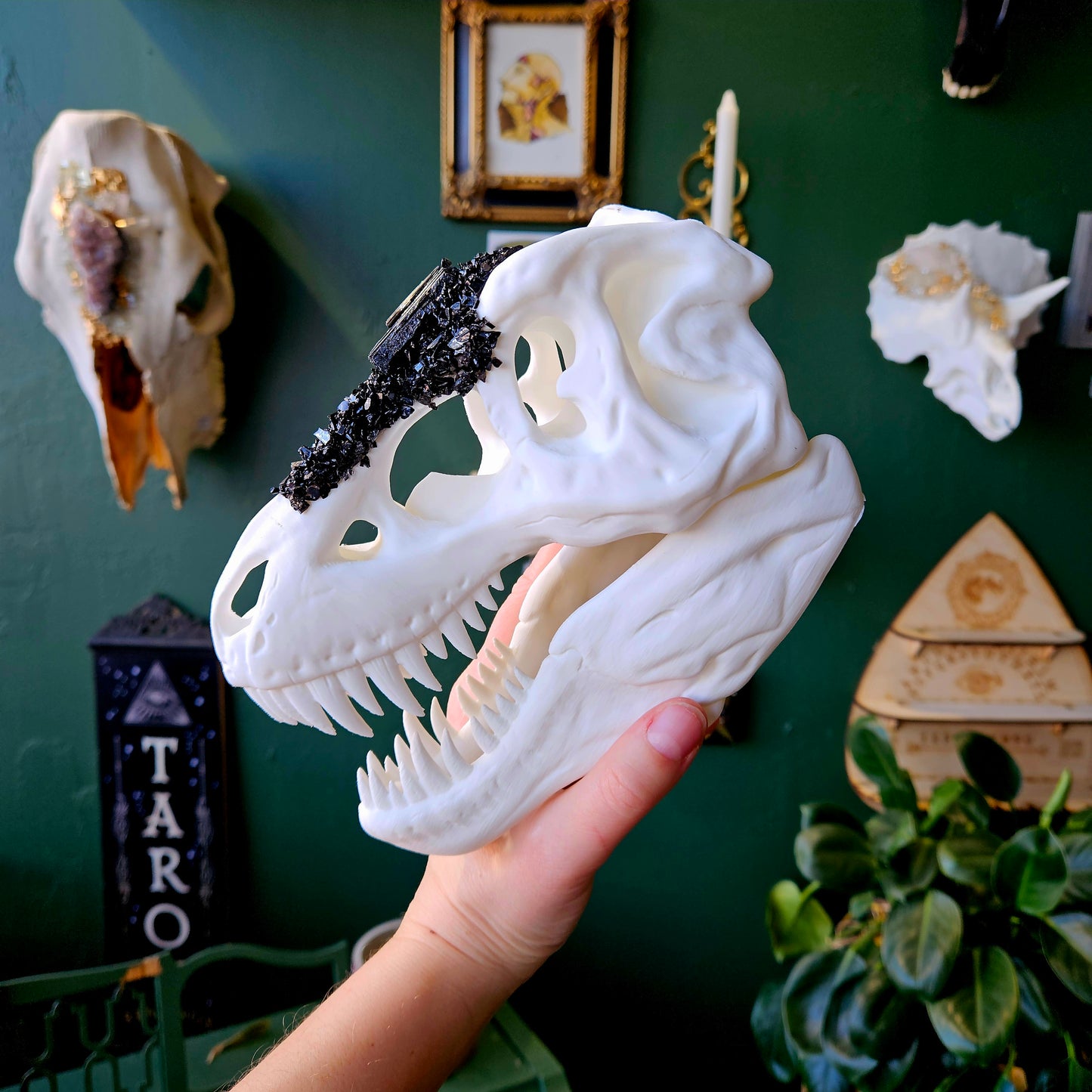 3D Printed T-Rex Skull With Black Tourmaline - Wall Hanging