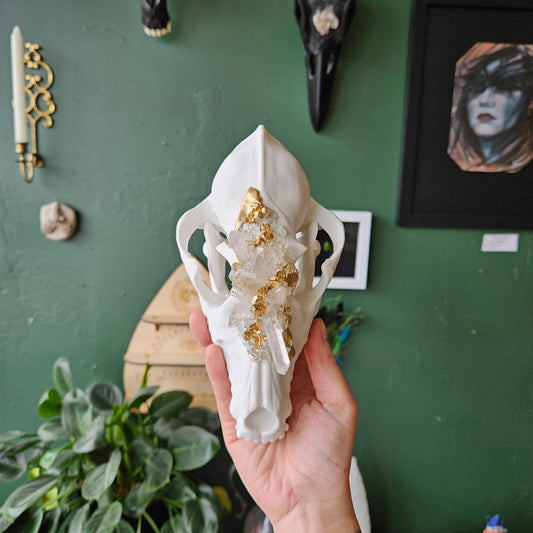 3D Printed Coyote Skull - Wall Hanging