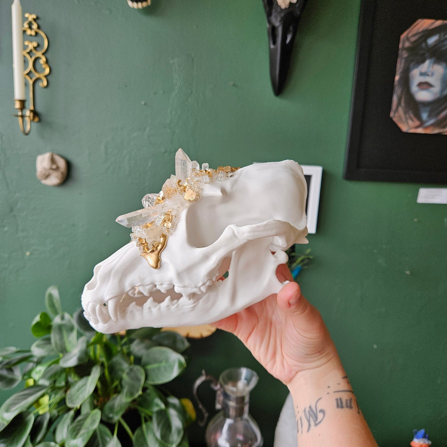 3D Printed Coyote Skull - Wall Hanging