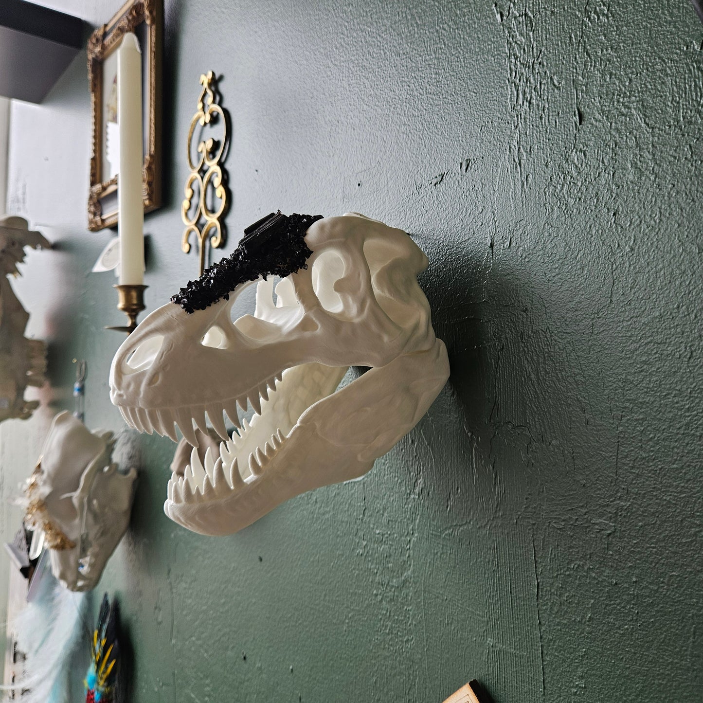 3D Printed T-Rex Skull With Black Tourmaline - Wall Hanging