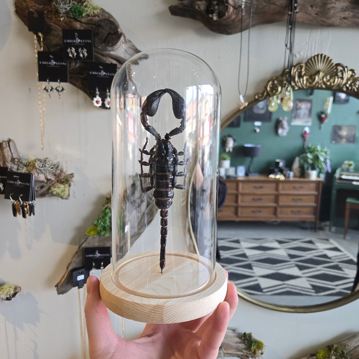 Scorpion Dome 90.00