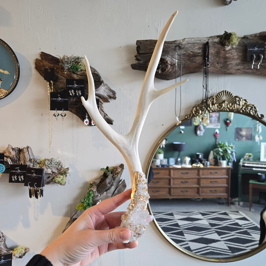 Antler With Clear Quartz  Crystals