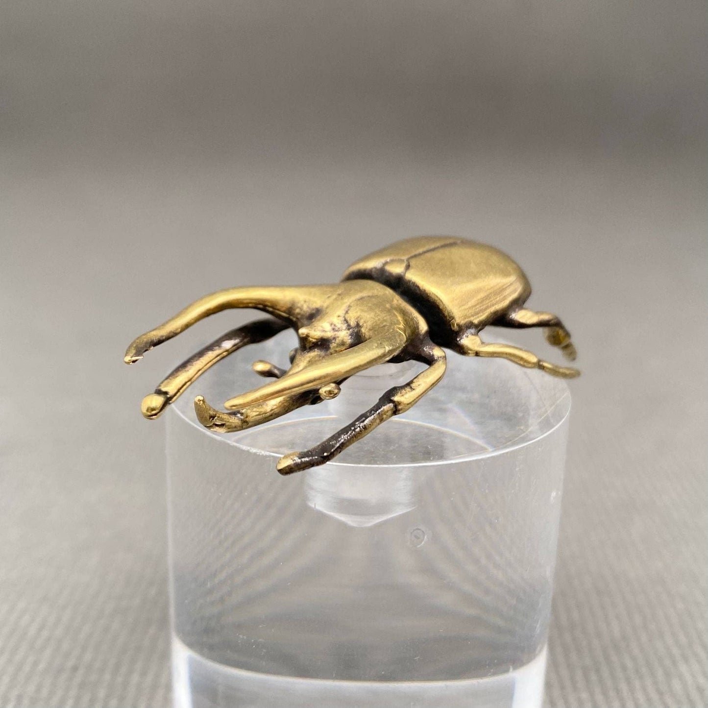Brass Rhino Beetle Crafts Desktop Ornaments Decoration