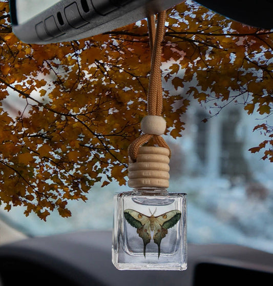 MOTH | CAR DIFFUSER