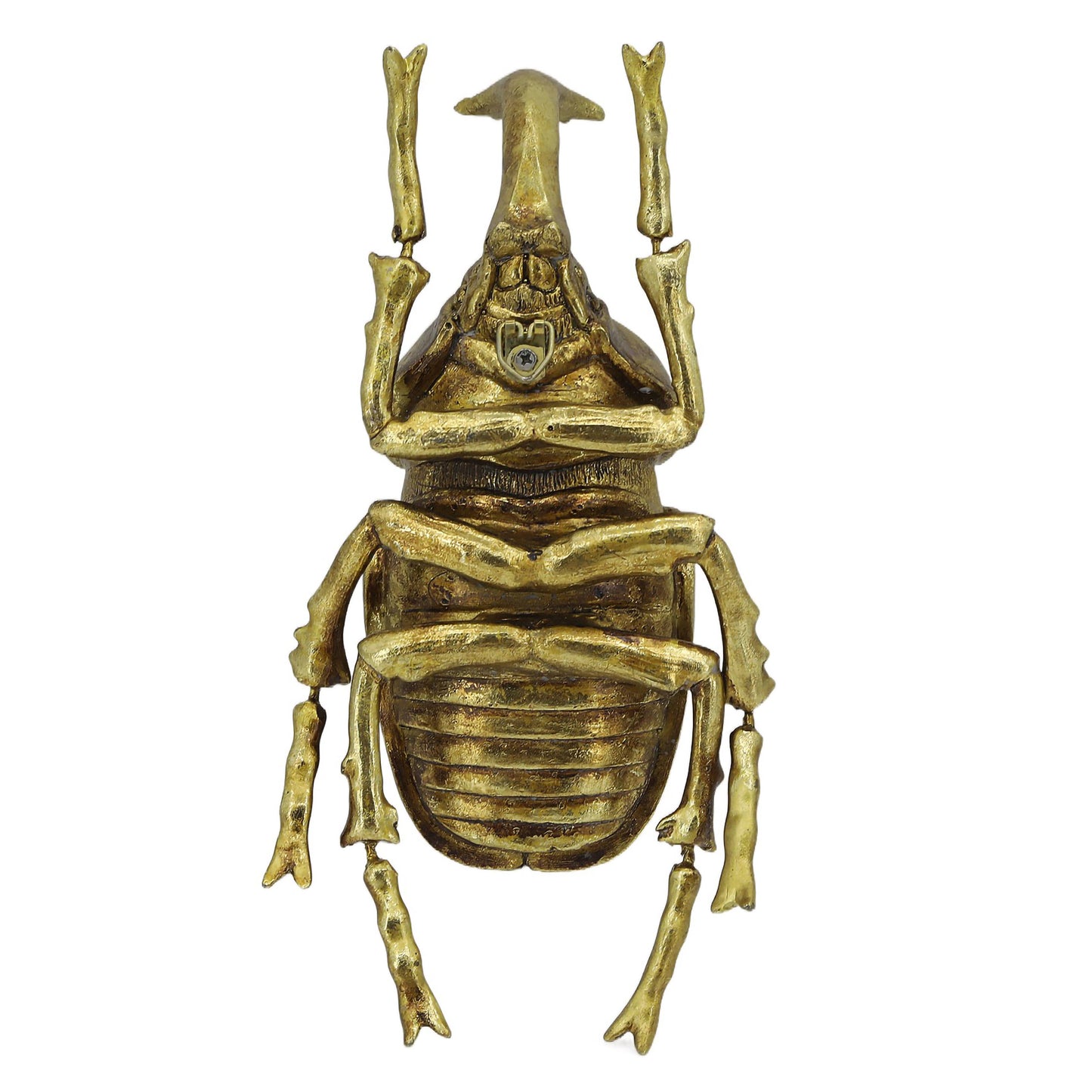 Gold Elephant Beetle Wall Décor (Small Version)