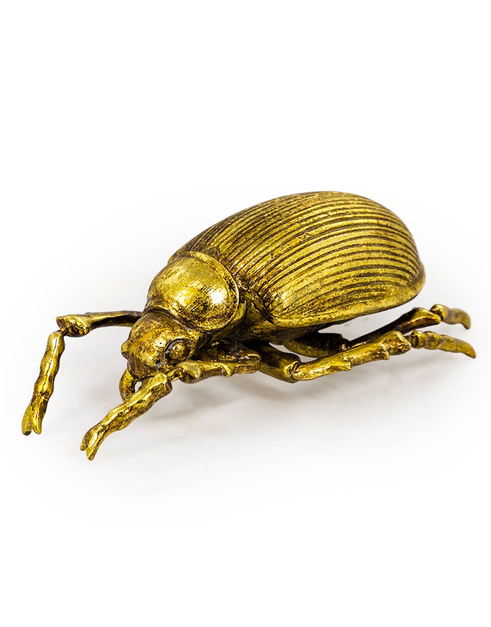 Large Gold Beetle Wall Decoration
