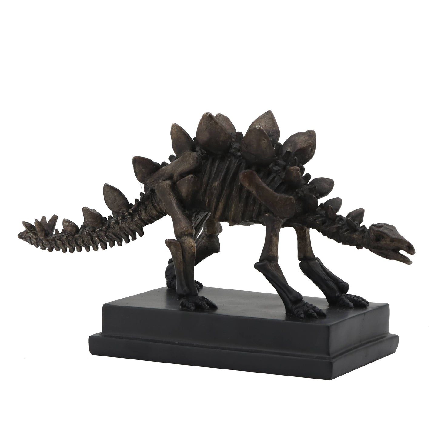 Stegosaurus Dinosaur Fossil on Base