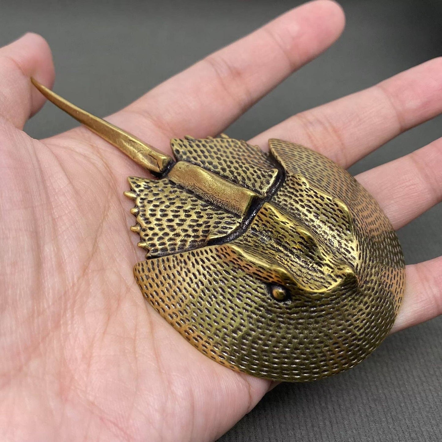 Big Horseshoe Crab Crafts Decoration Desktop Ornaments