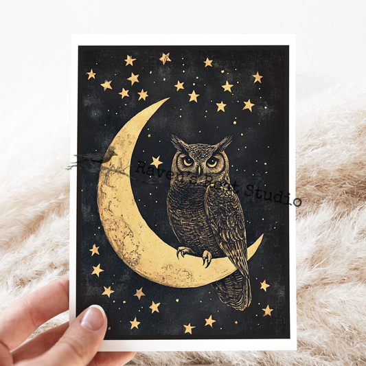 Greeting Card. Magical Owl Perched On The Moon Night Sky.