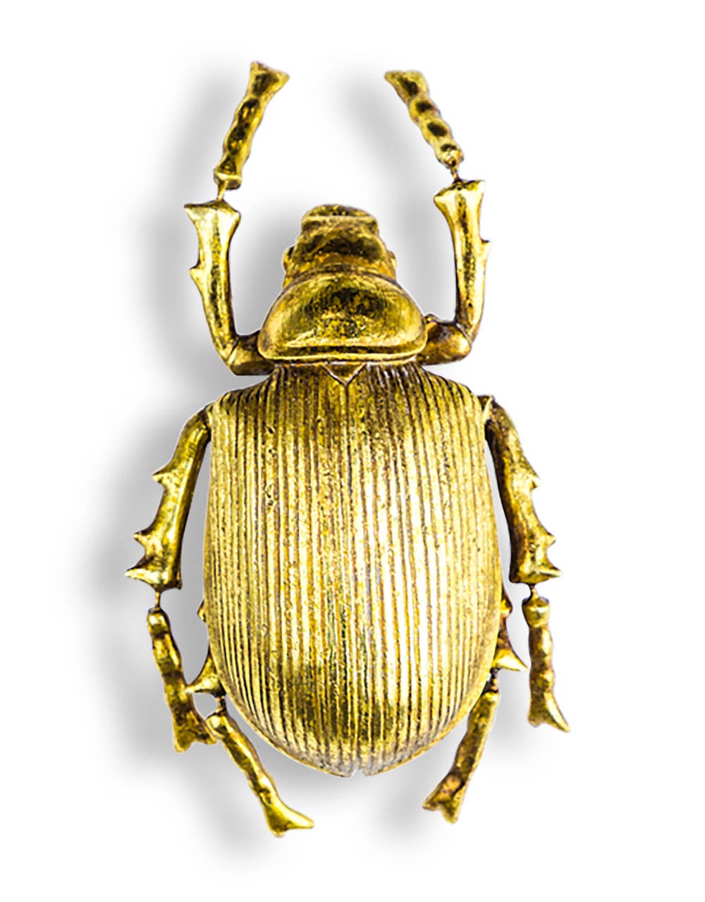 Large Gold Beetle Wall Decoration