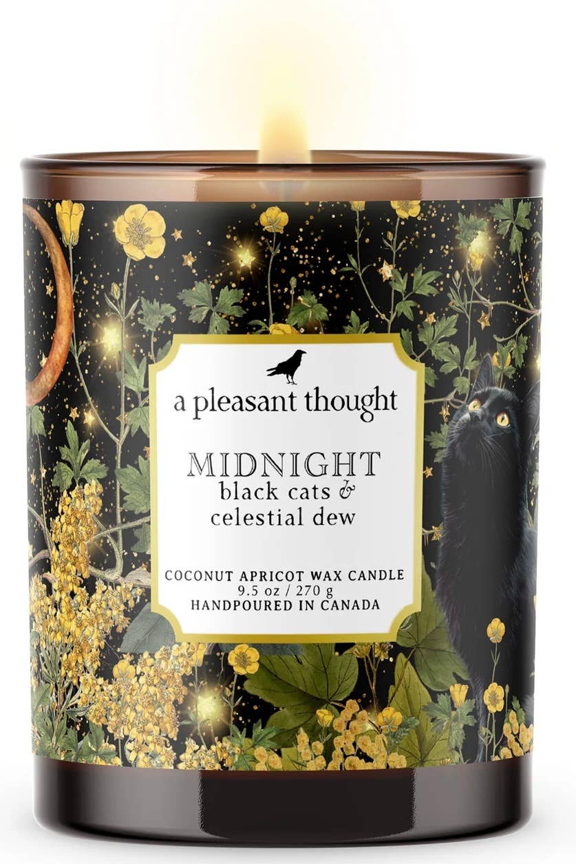 Midnight | Black Cats & Celestial Dew | Candle