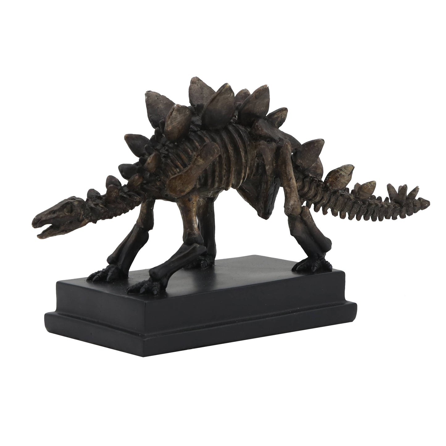 Stegosaurus Dinosaur Fossil on Base