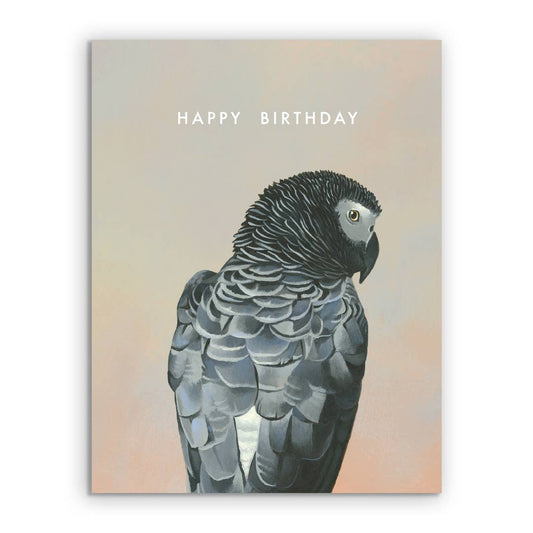 African Grey Parrot Birthday Greeting Card