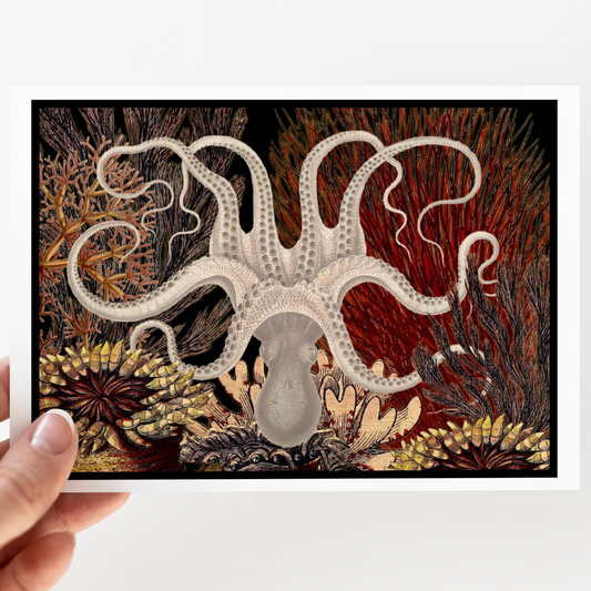 Greeting Card. Vintage Octopus and Corals. Everyday.