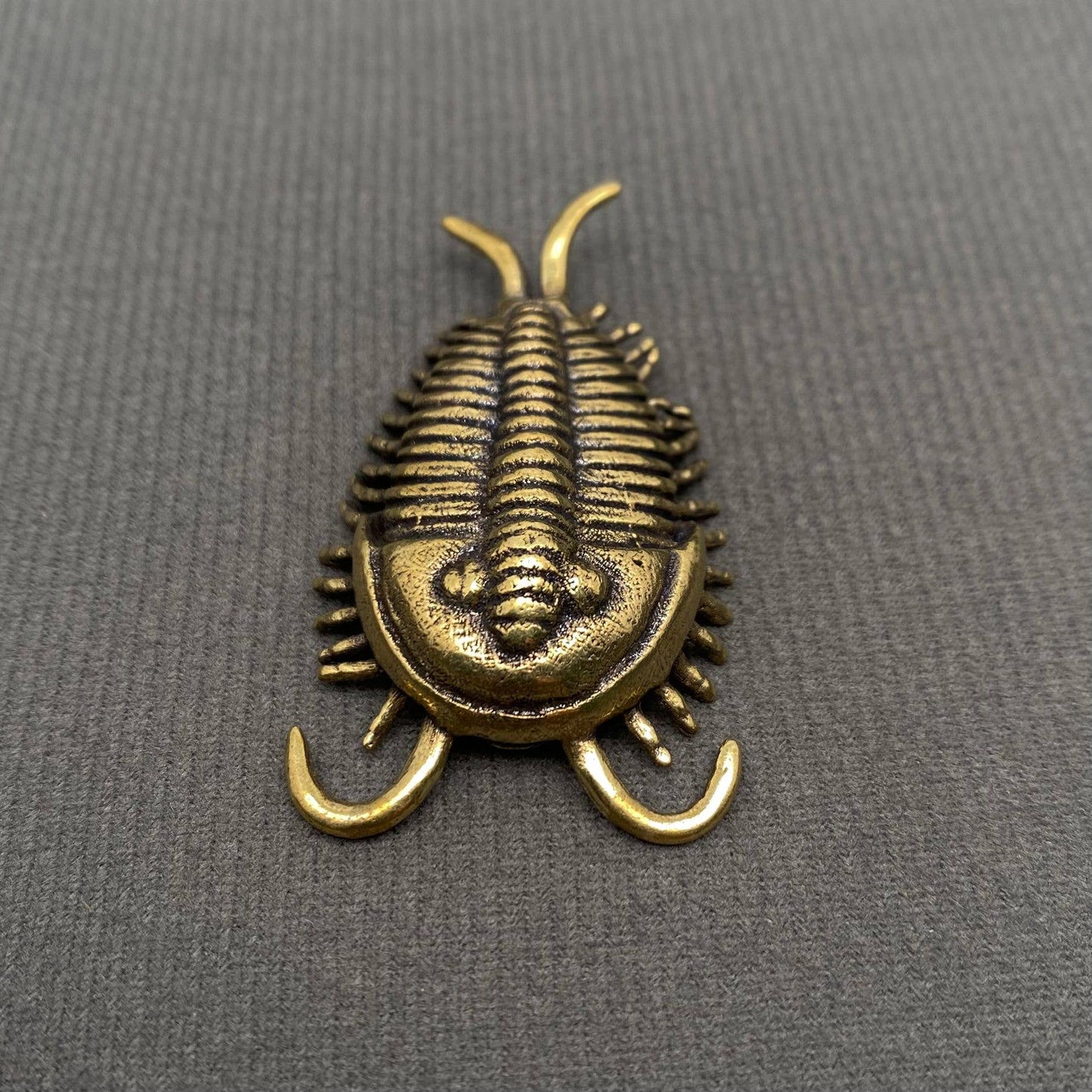 Brass Trilobite Crafts Desktop Ornaments Decoration