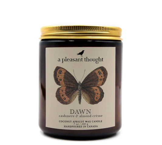 DAWN | CASHMERE & ALMOND CRÈME | JAR CANDLE