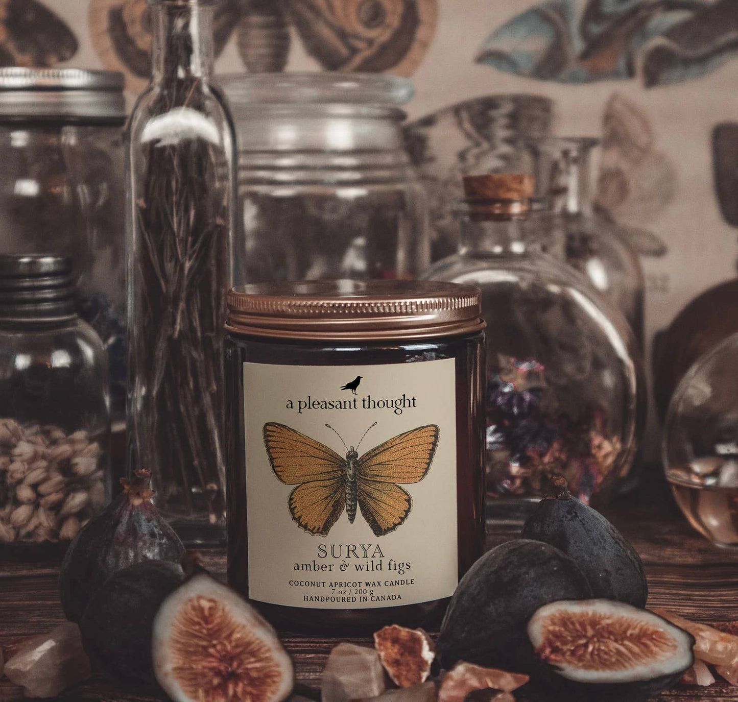 SURYA | AMBER & WILD FIGS | JAR CANDLE