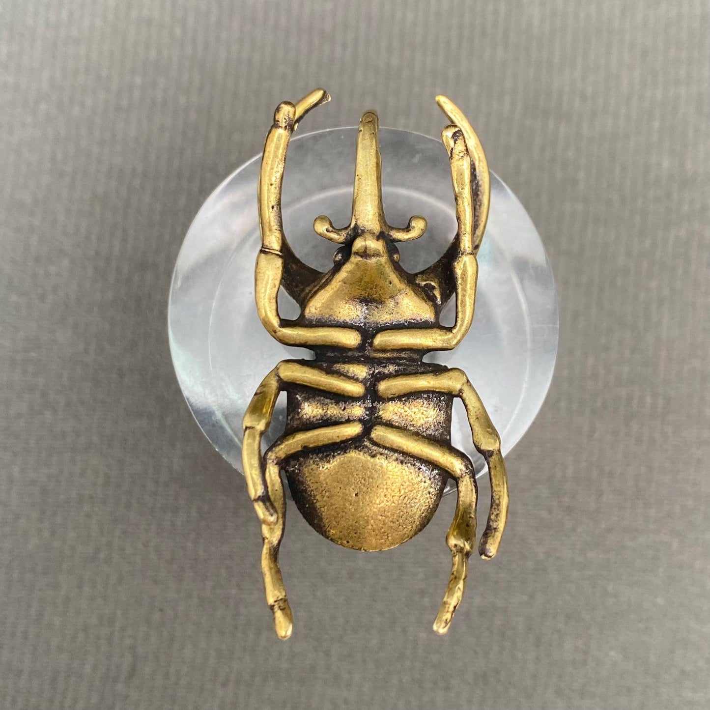 Brass Rhino Beetle Crafts Desktop Ornaments Decoration