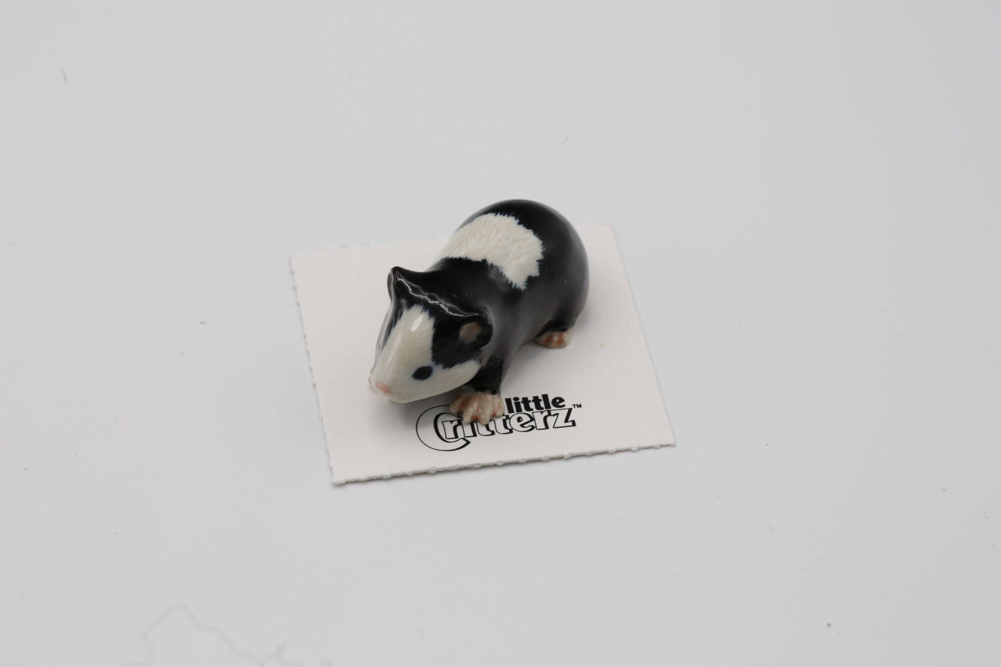 Ziggy Guinea Pig Porcelain Miniature